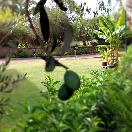 Hotel apartamentowy Palmiyem