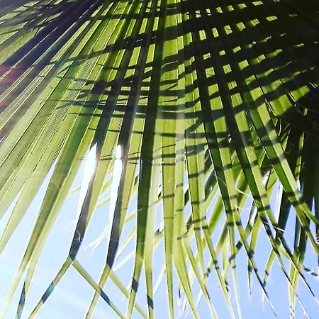 Palmiyem Hotel apartamentowy *