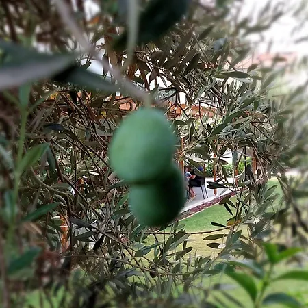 Palmiyem Hotel apartamentowy