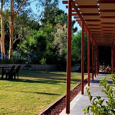 Palmiyem Seferihisar