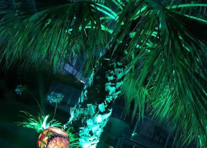 Palmiyem Seferihisar