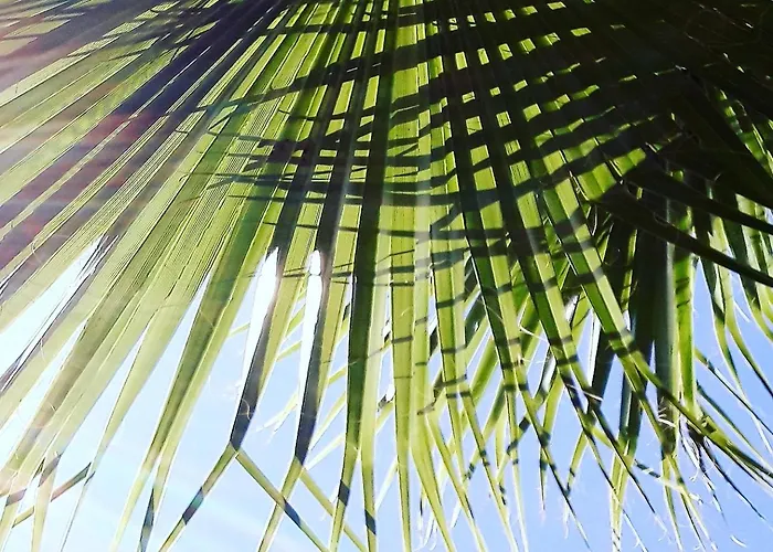 Palmiyem Apart Otel *