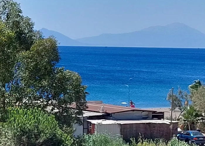 Palmiyem Seferihisar