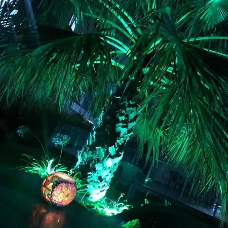 Palmiyem Seferihisar