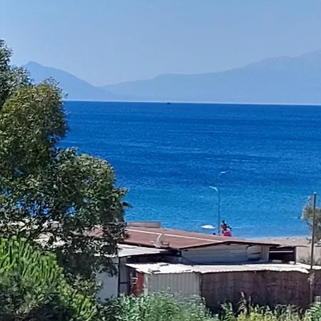 Palmiyem Seferihisar