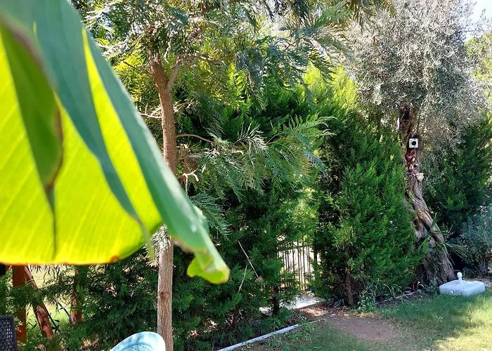 Palmiyem * Seferihisar