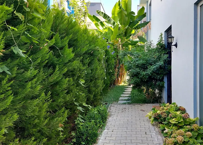 Lägenhetshotell Palmiyem