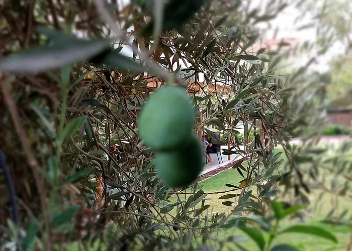 Palmiyem Lägenhetshotell