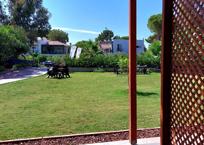 Palmiyem Seferihisar