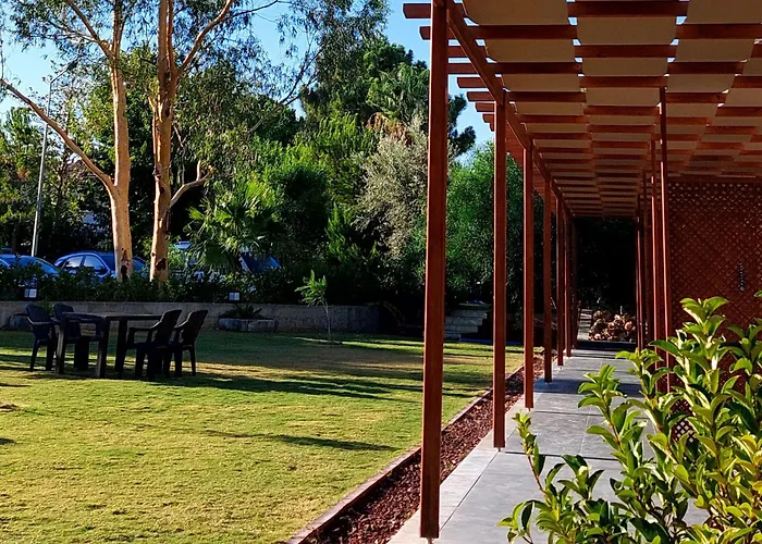 Palmiyem Seferihisar